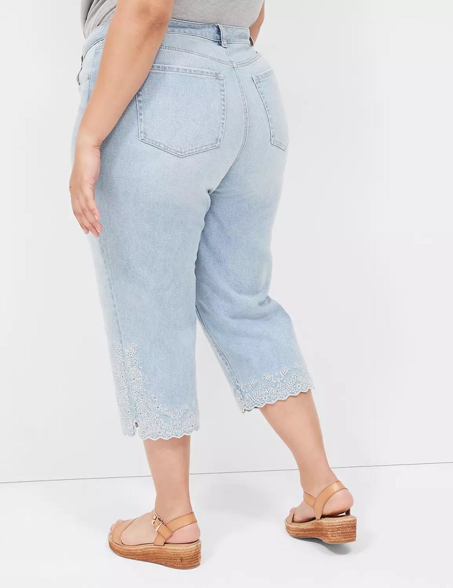 Lane Bryant Boyfriend Fit Capri With Embroidery Women Jeans Light Blue | WPL3445EH