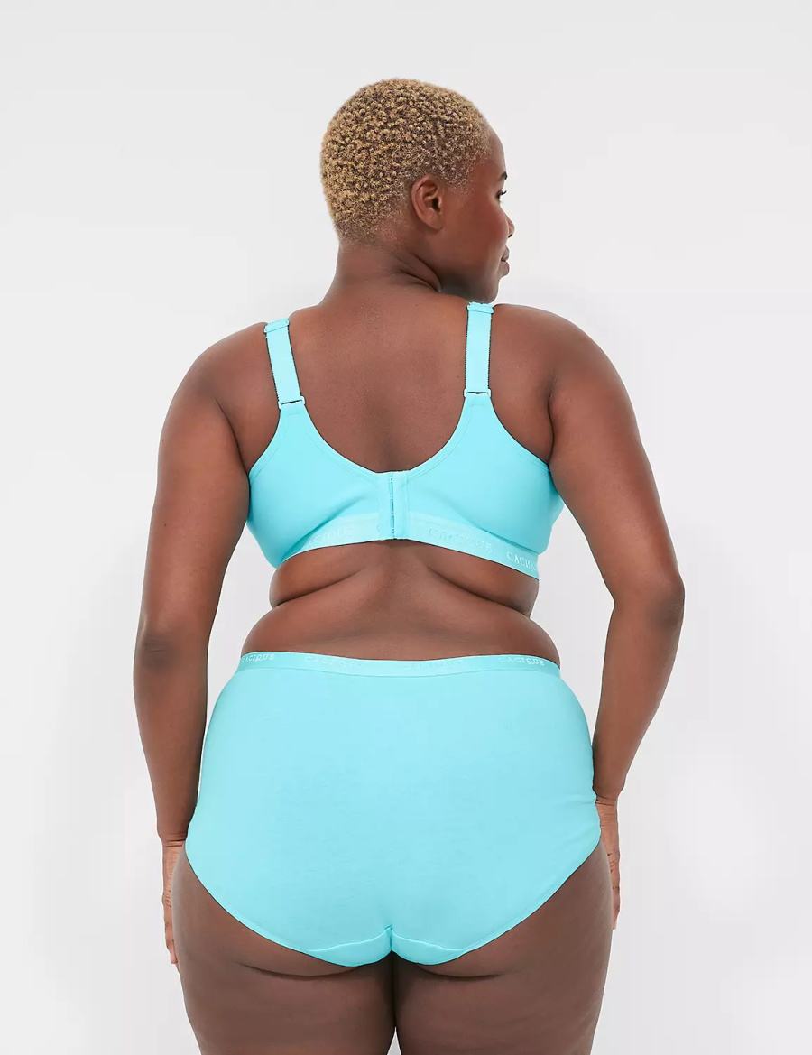 Lane Bryant Cotton Full With Lace Trim Women Briefs Turquoise | TBA195EW