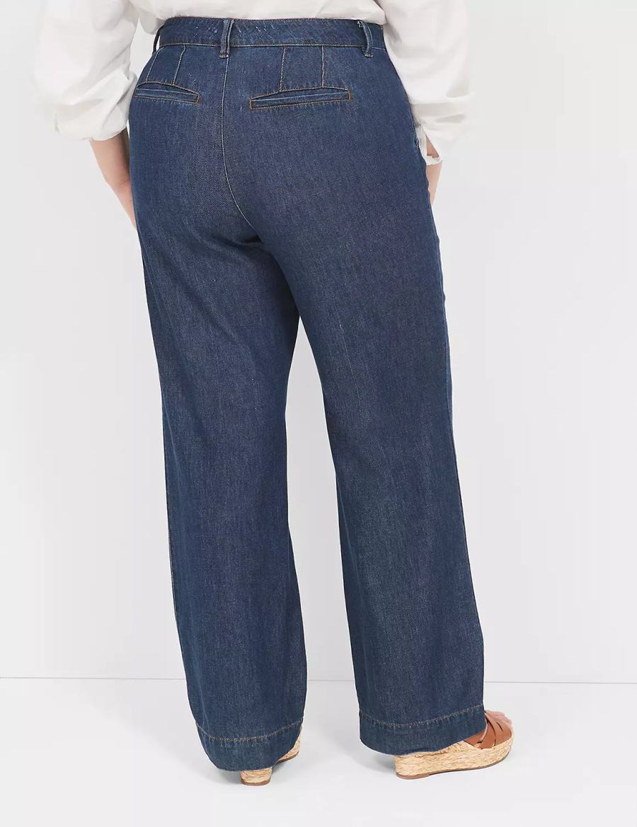 Lane Bryant Dressy Women Jeans Dark Blue | PUW1258ST