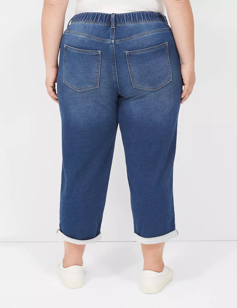 Lane Bryant Pull-On Fit Knit Boyfriend Capri Women Jeans Dark Blue | APS707HI