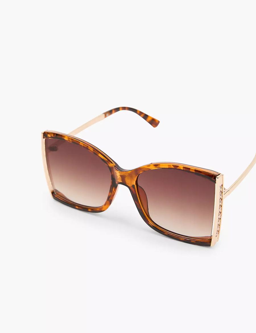 Lane Bryant Tortoiseshell Print With Goldtone Hinge Square Women Sunglasses Brown | UBD8816PT