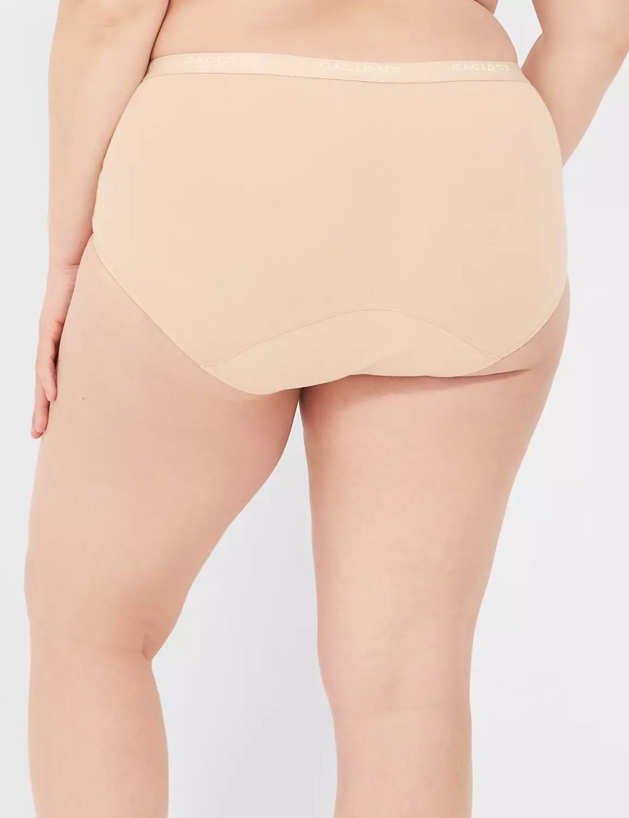 Lane Bryant Total Confidence Full Women Briefs Beige | EMI3396KW